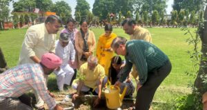 world environment day tree planting